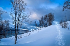 STEPS IN THE SNOW